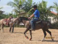 /album/curso-com-o-americano-brent-loseke-no-rancho-ronaldo-redeas-/img-5601-jpg/